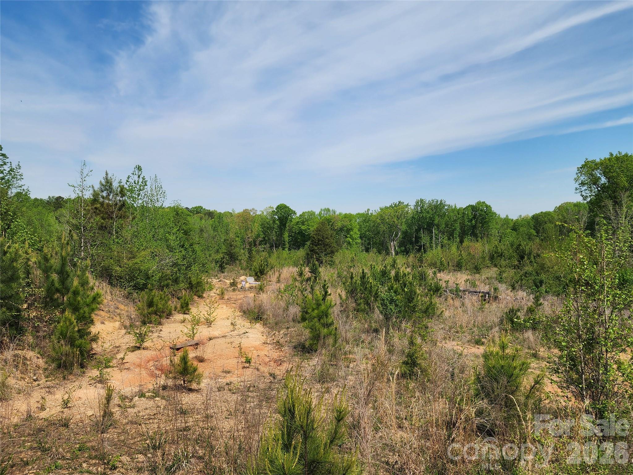 6327 Witherspoon Trail Property Photo 28