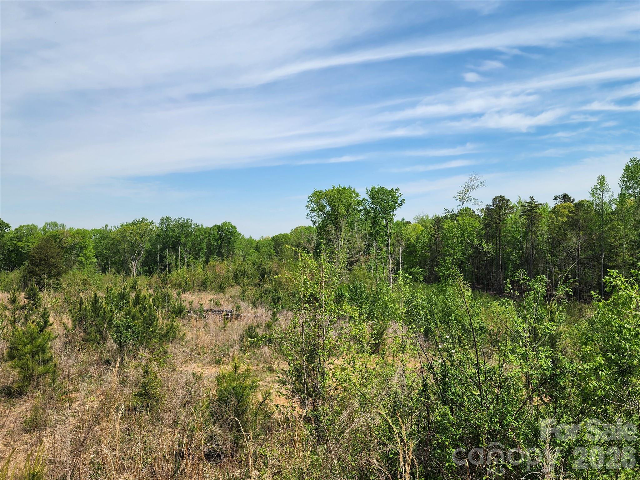 6327 Witherspoon Trail Property Photo 29