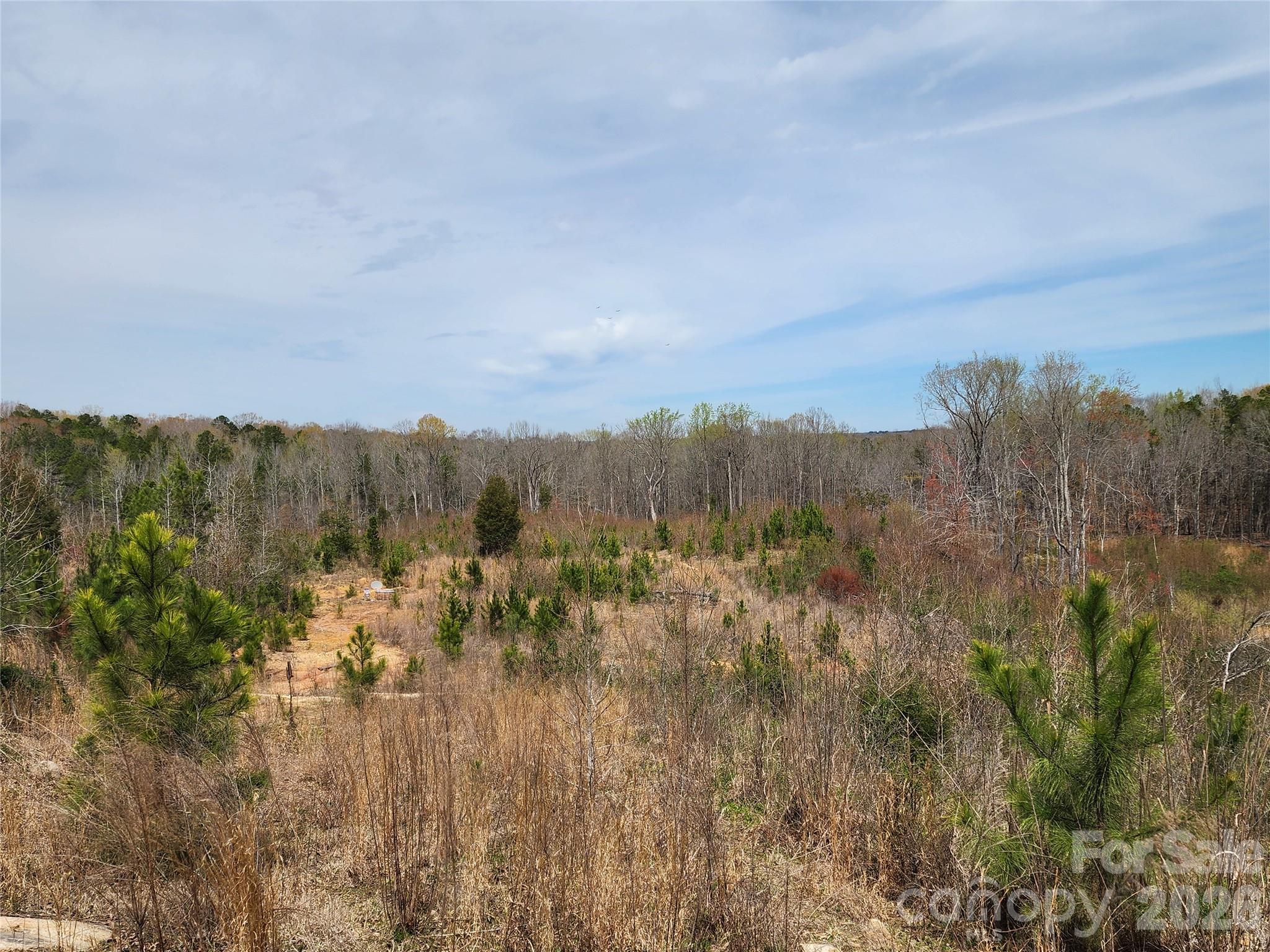 6327 Witherspoon Trail Property Photo 32
