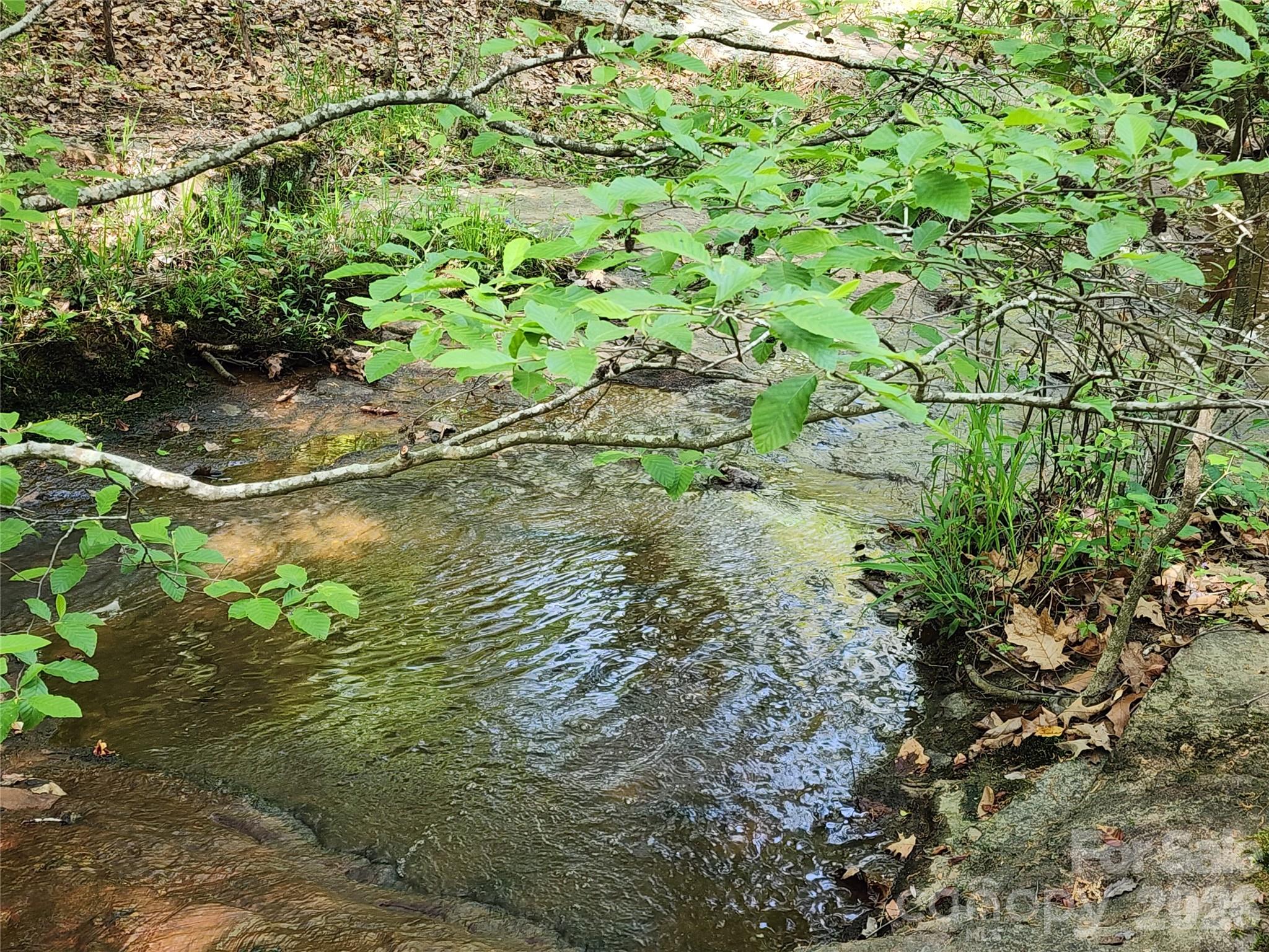 6327 Witherspoon Trail Property Photo 35