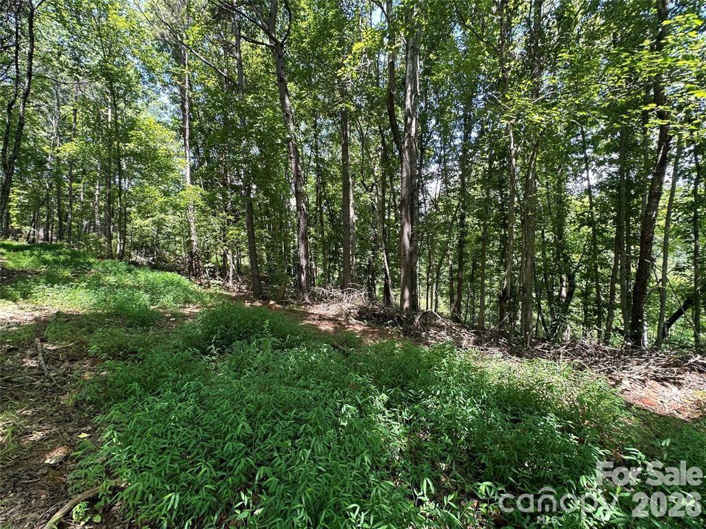 4092/4070 Hickory Boulevard Property Photo 14