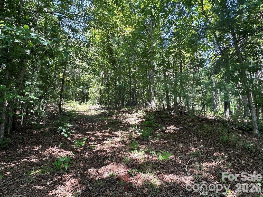 4092/4070 Hickory Boulevard Property Photo 15