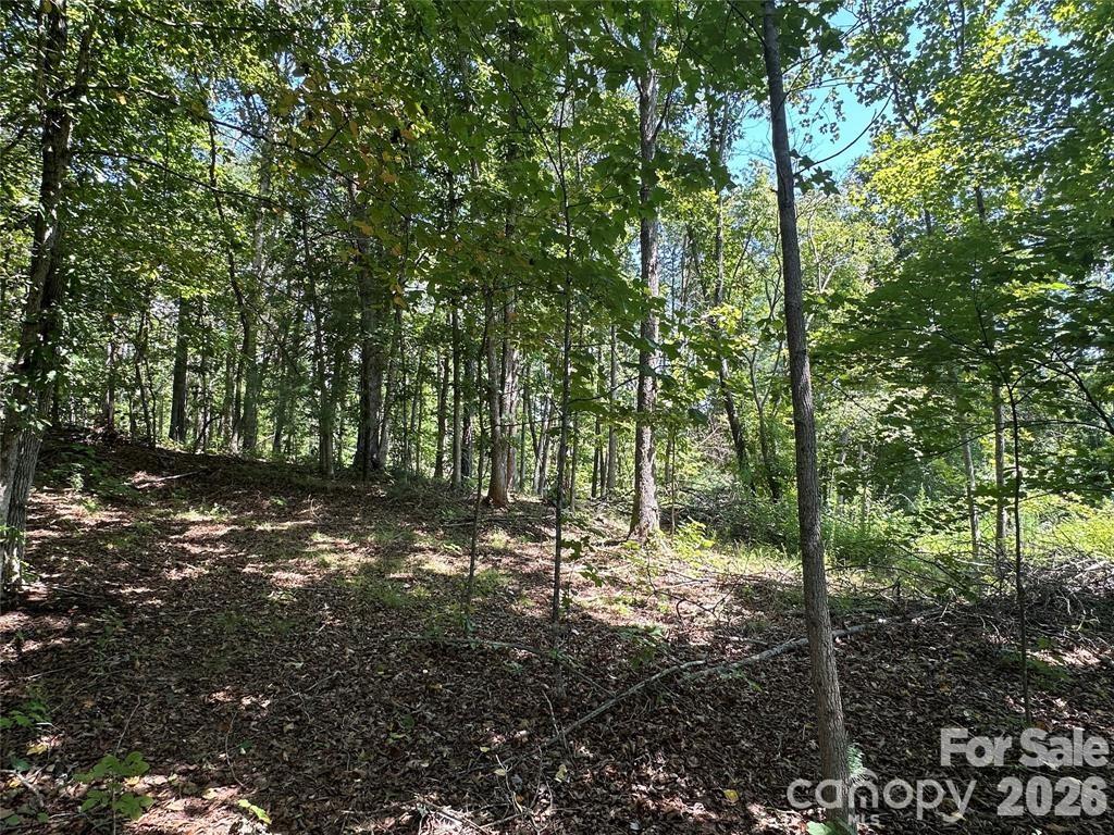 4092/4070 Hickory Boulevard Property Photo 16