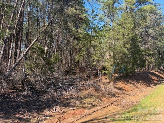 12.68 Acre 99 Road Property Photo 4