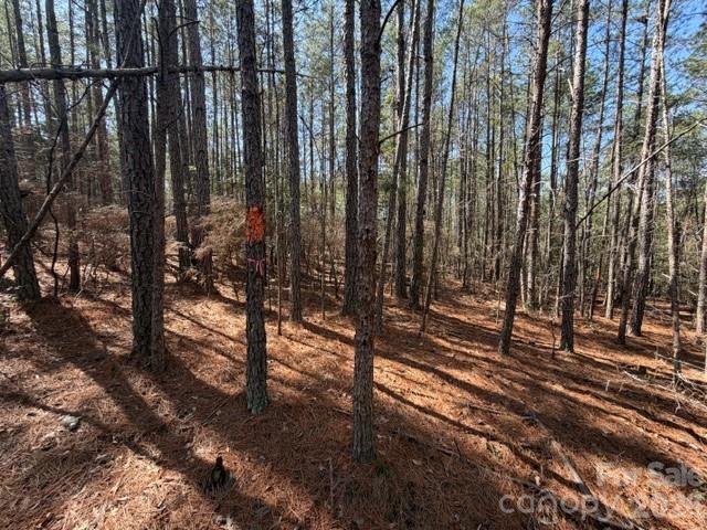 12.68 Acre 99 Road Property Photo 6