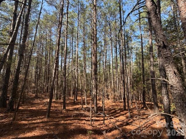 12.68 Acre 99 Road Property Photo 7