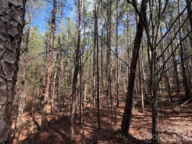 12.68 Acre 99 Road Property Photo 8