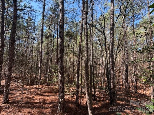 12.68 Acre 99 Road Property Photo 9