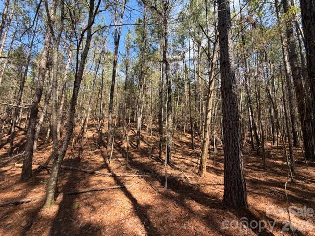 12.68 Acre 99 Road Property Photo 10