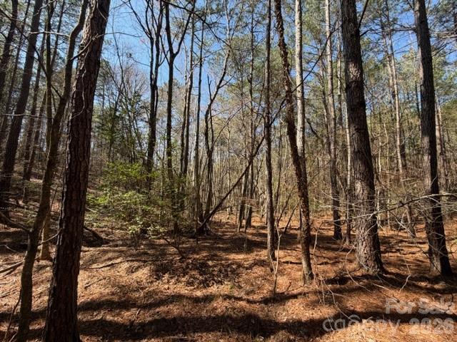 12.68 Acre 99 Road Property Photo 11