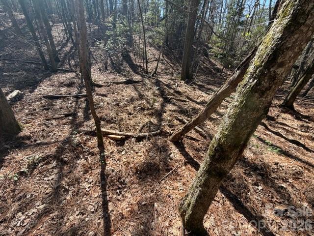 12.68 Acre 99 Road Property Photo 12