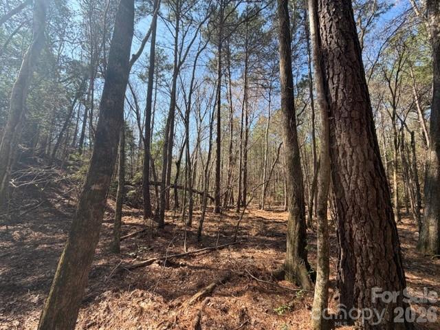 12.68 Acre 99 Road Property Photo 13