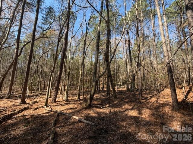 12.68 Acre 99 Road Property Photo 14