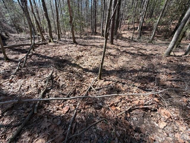 12.68 Acre 99 Road Property Photo 15