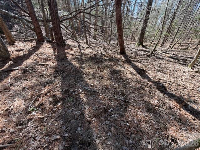 12.68 Acre 99 Road Property Photo 16