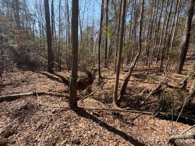 12.68 Acre 99 Road Property Photo 17