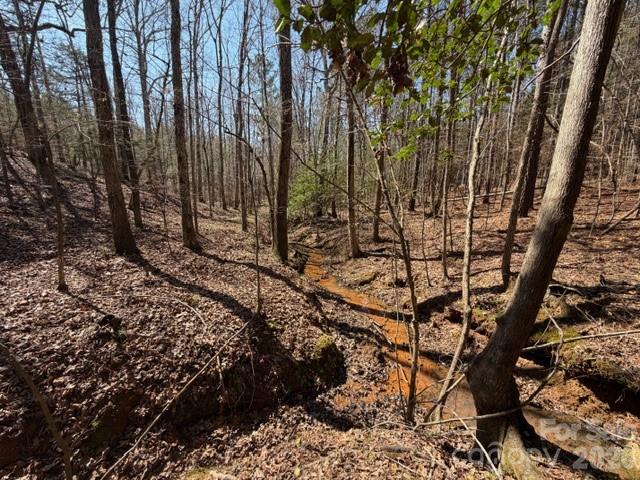 12.68 Acre 99 Road Property Photo 18
