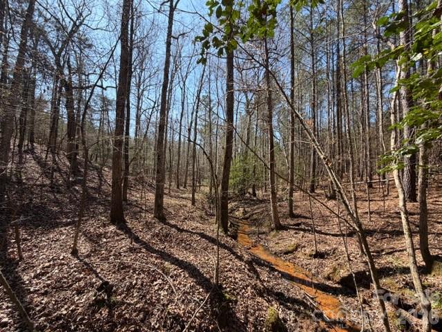 12.68 Acre 99 Road Property Photo 19
