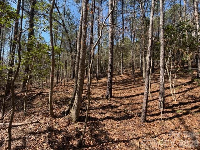 12.68 Acre 99 Road Property Photo 20