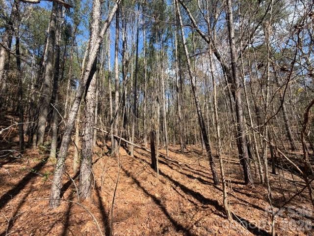12.68 Acre 99 Road Property Photo 21