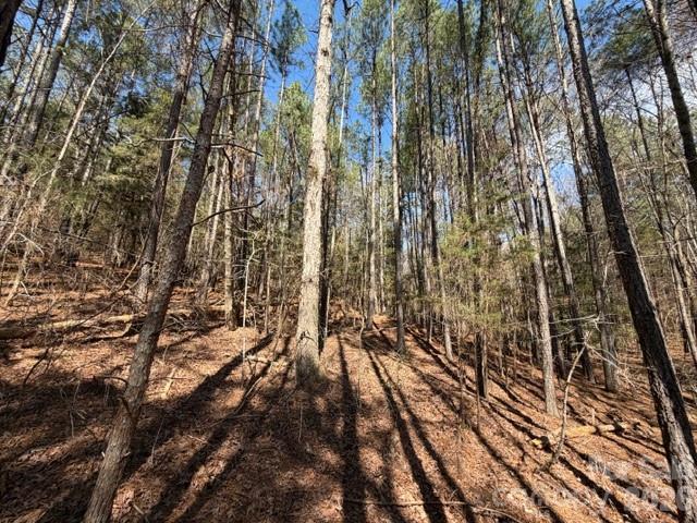 12.68 Acre 99 Road Property Photo 22