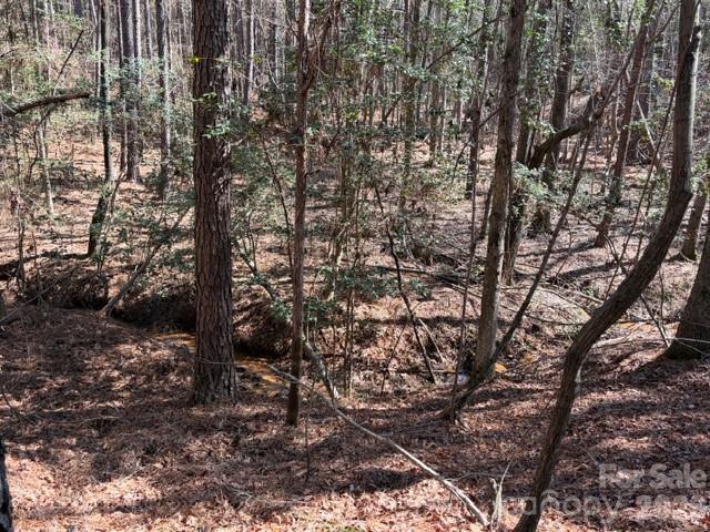 12.68 Acre 99 Road Property Photo 23