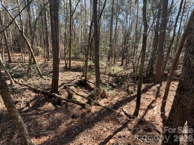 12.68 Acre 99 Road Property Photo 24