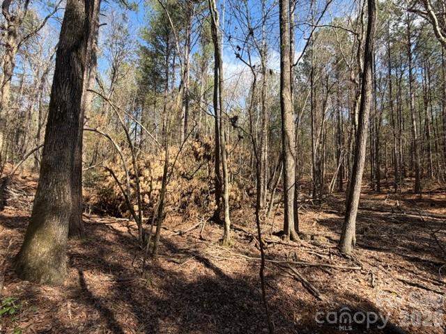 12.68 Acre 99 Road Property Photo 25