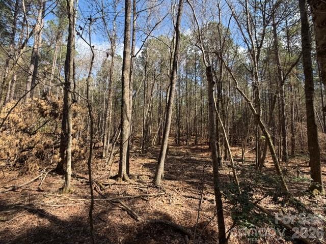 12.68 Acre 99 Road Property Photo 26