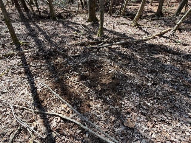 12.68 Acre 99 Road Property Photo 27