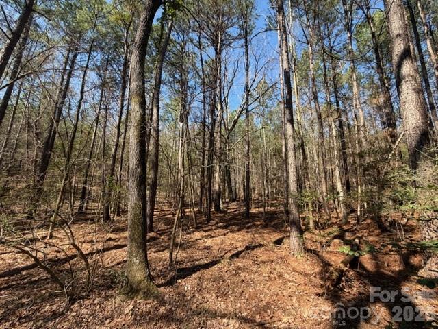12.68 Acre 99 Road Property Photo 28
