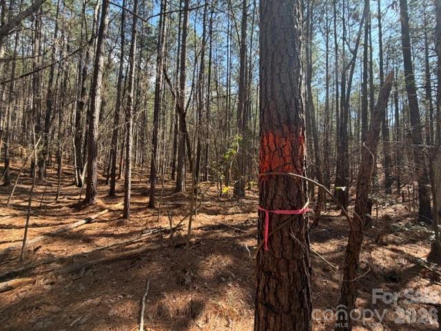 12.68 Acre 99 Road Property Photo 29