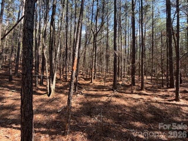 12.68 Acre 99 Road Property Photo 30