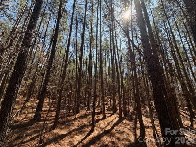 12.68 Acre 99 Road Property Photo 31