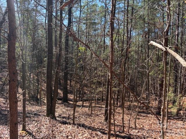 12.68 Acre 99 Road Property Photo 32