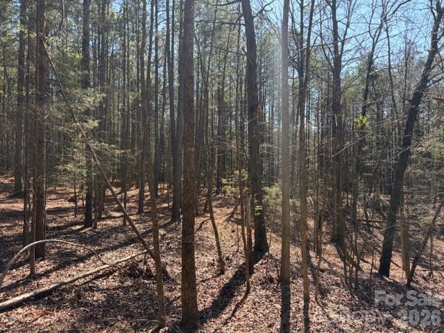 12.68 Acre 99 Road Property Photo 33