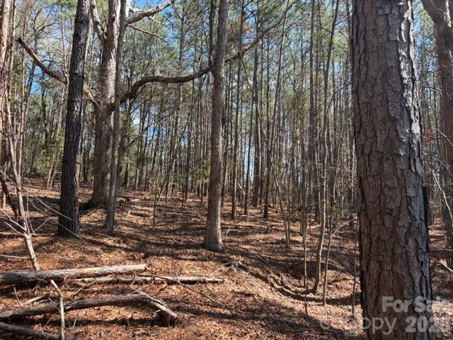 12.68 Acre 99 Road Property Photo 34