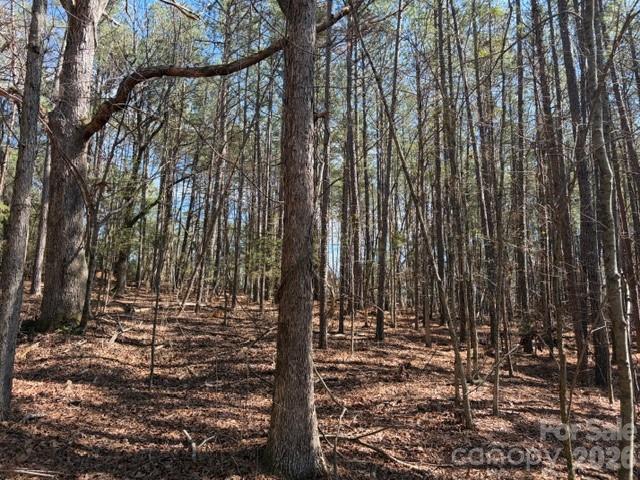 12.68 Acre 99 Road Property Photo 35