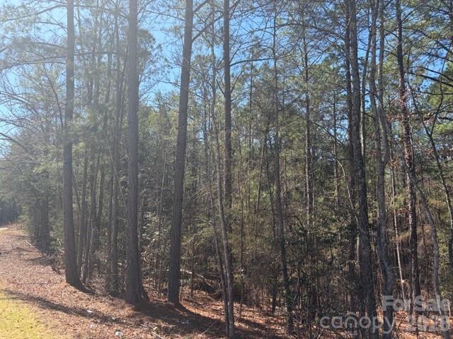 12.68 Acre 99 Road Property Photo 40