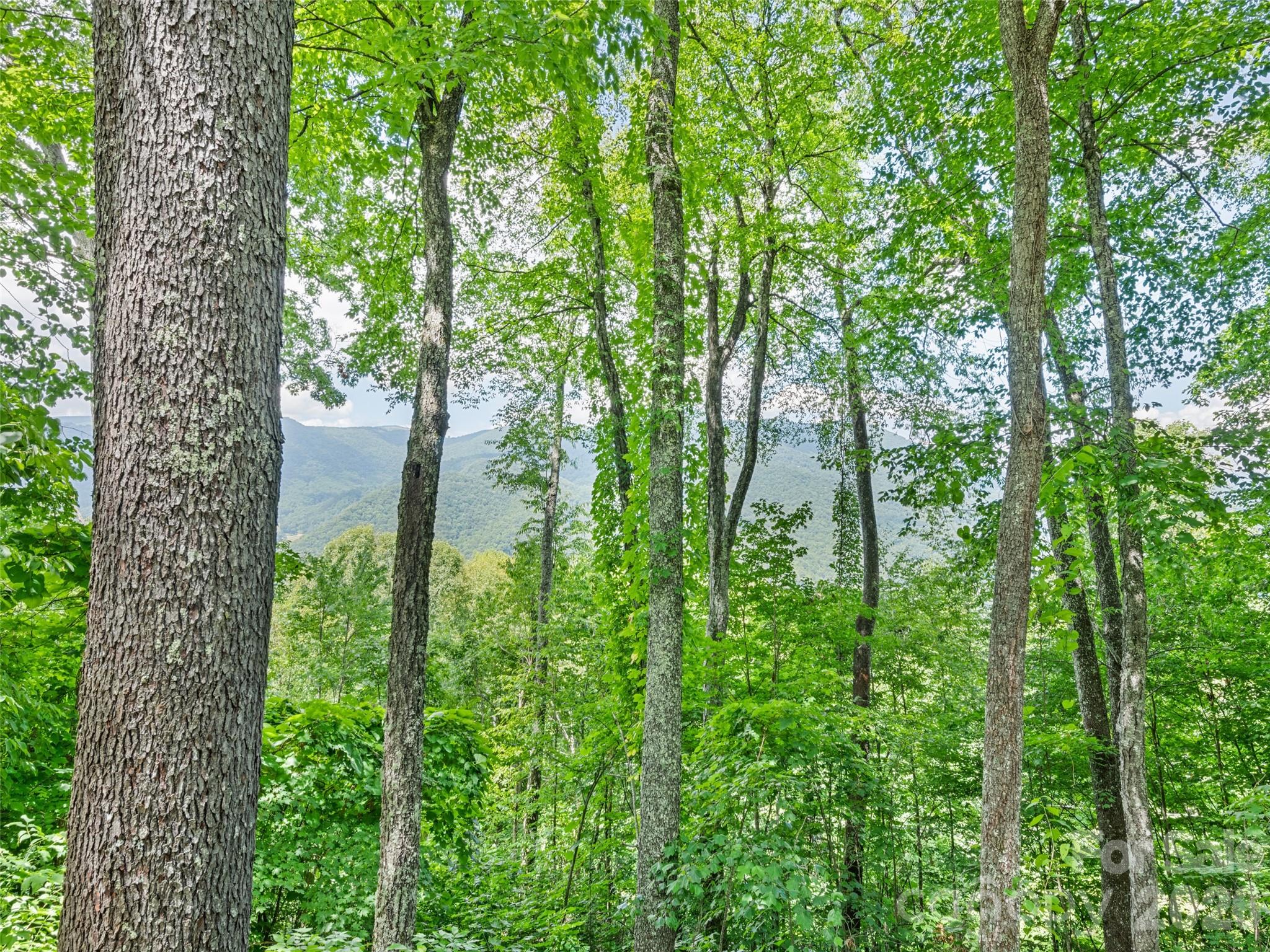 1672 Summit Drive Property Photo 14