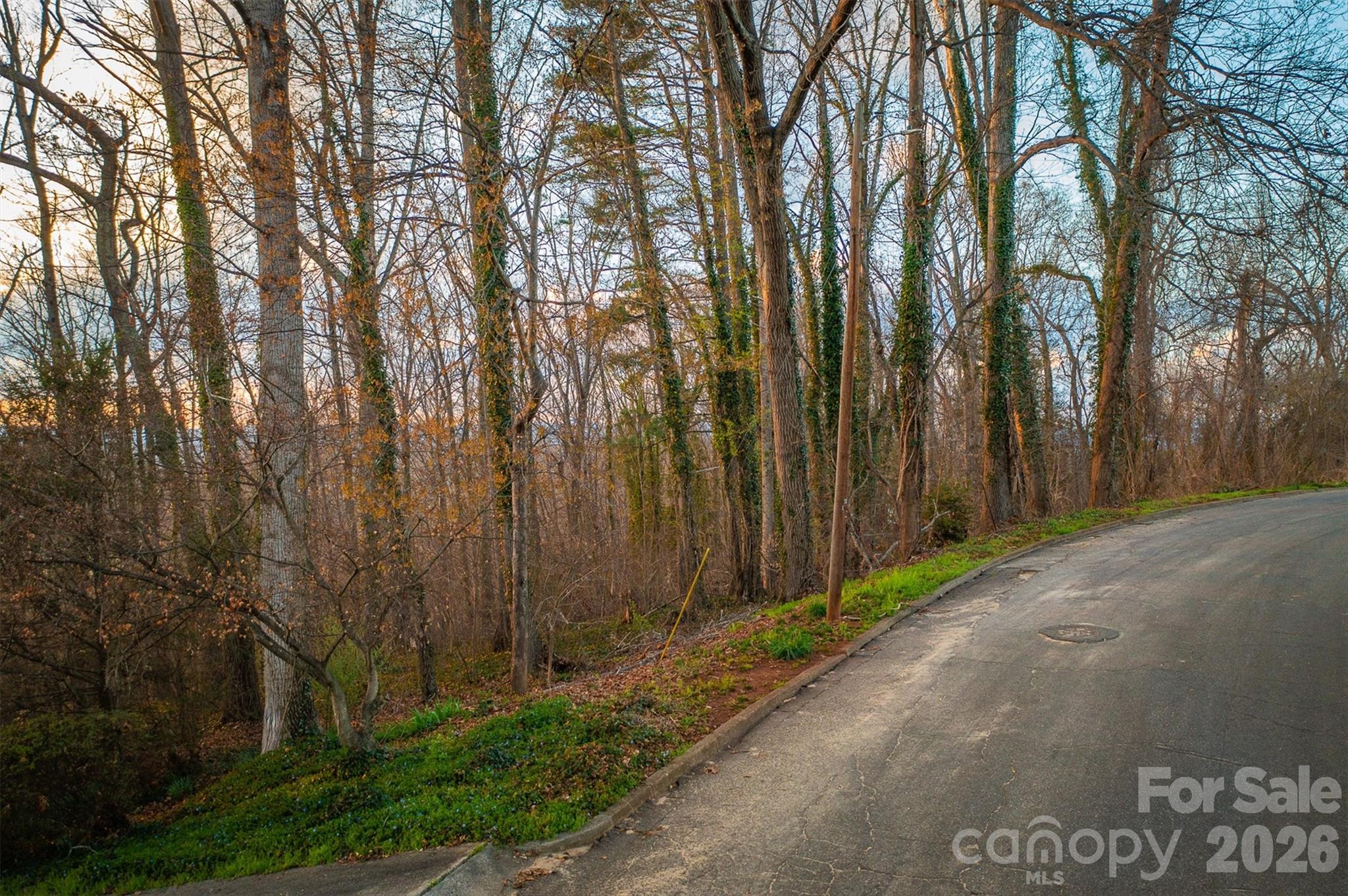 357 Walton Road Property Photo 6