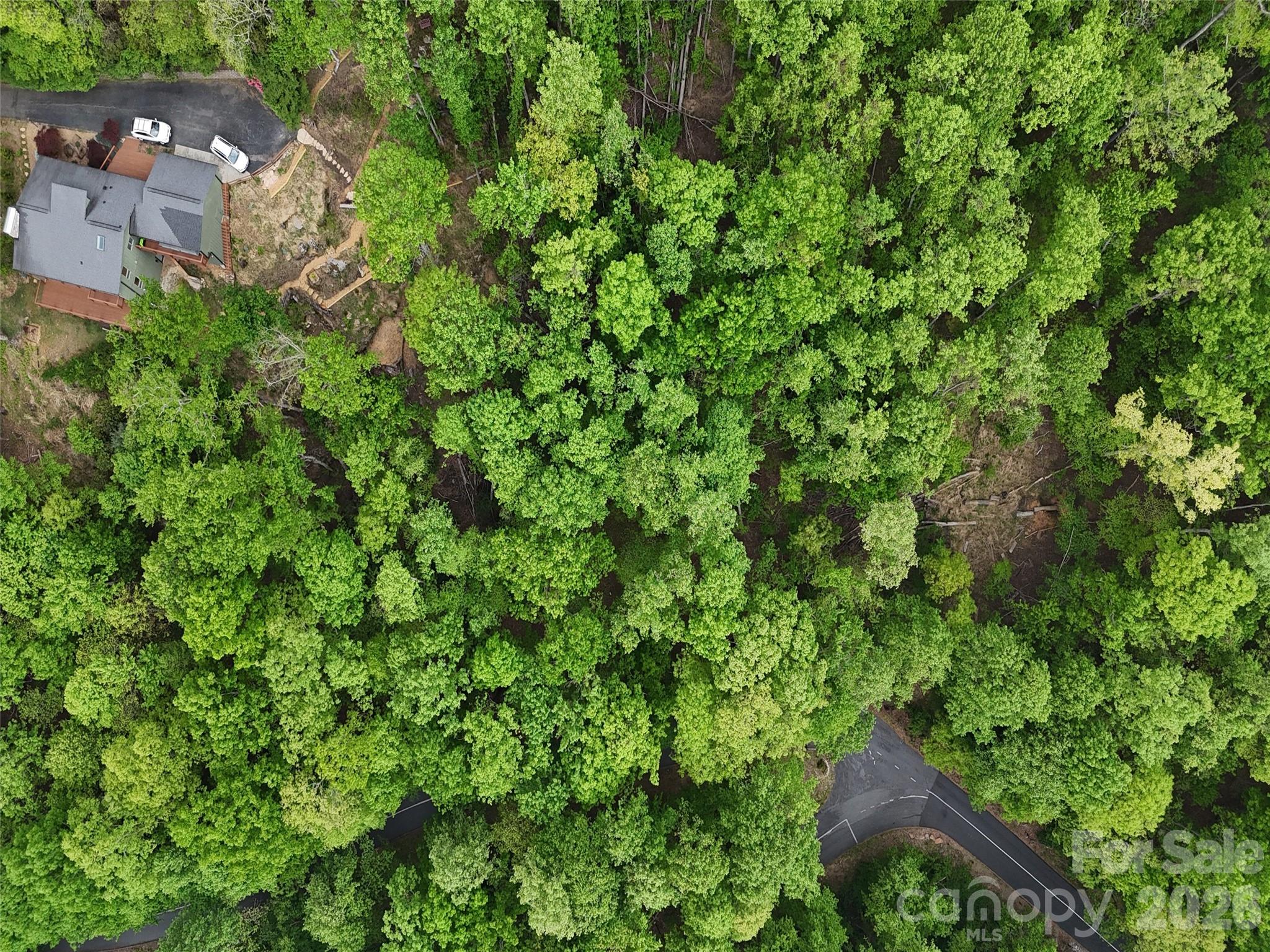 Lot #117 Honey Locust Drive Lot #117 Property Photo 3