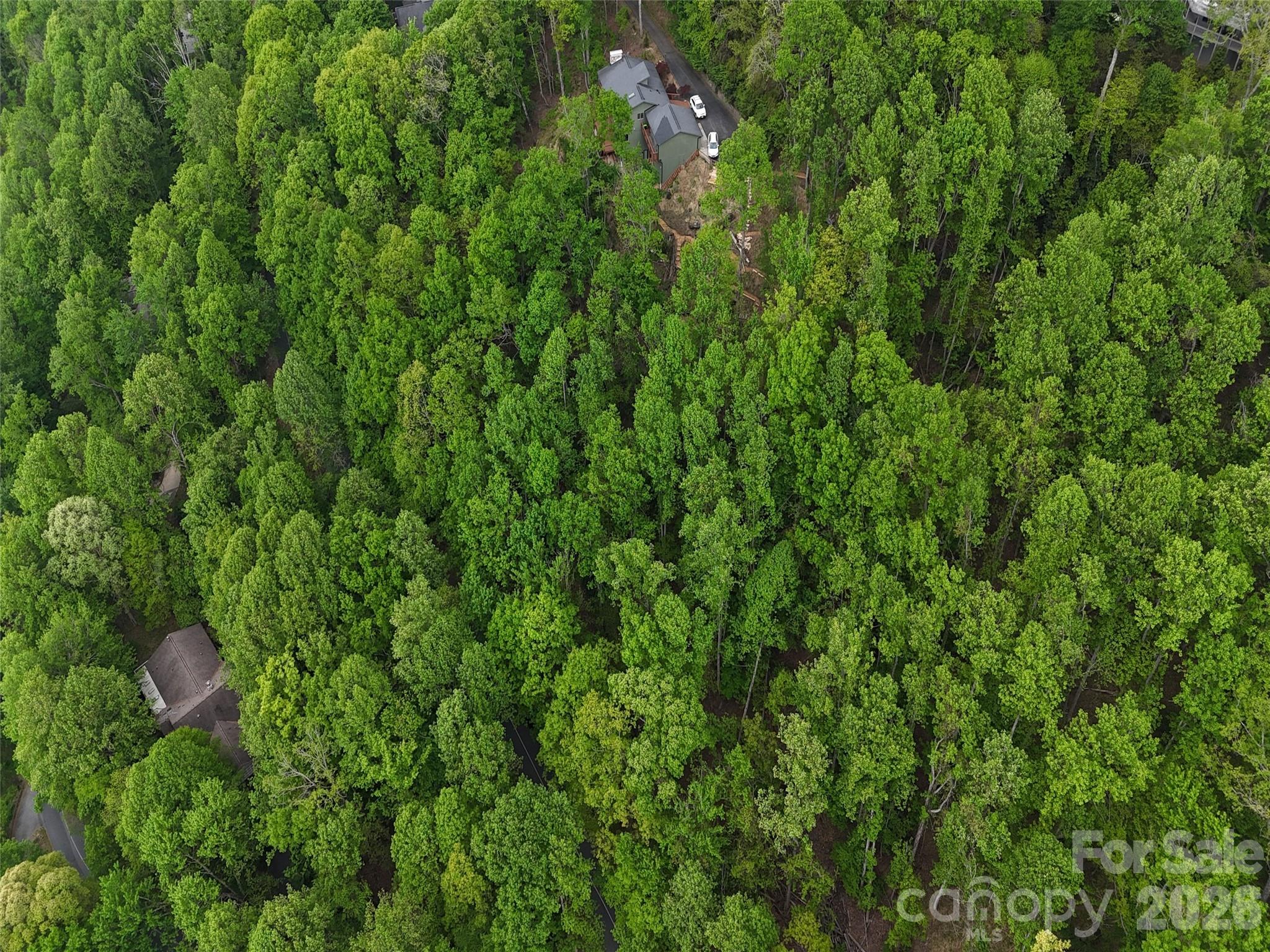 Lot #117 Honey Locust Drive Lot #117 Property Photo 6