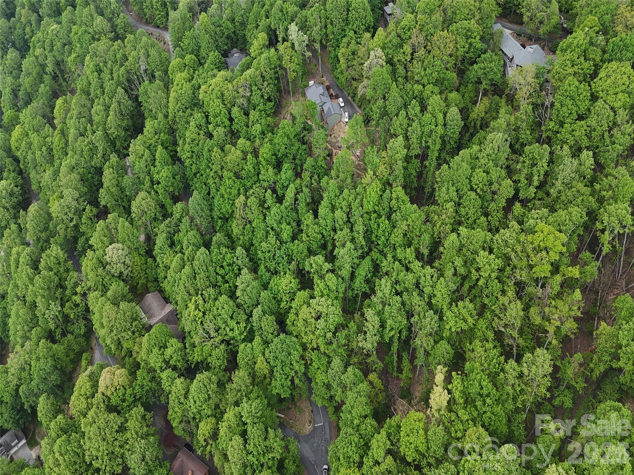 Lot #117 Honey Locust Drive Lot #117 Property Photo 7