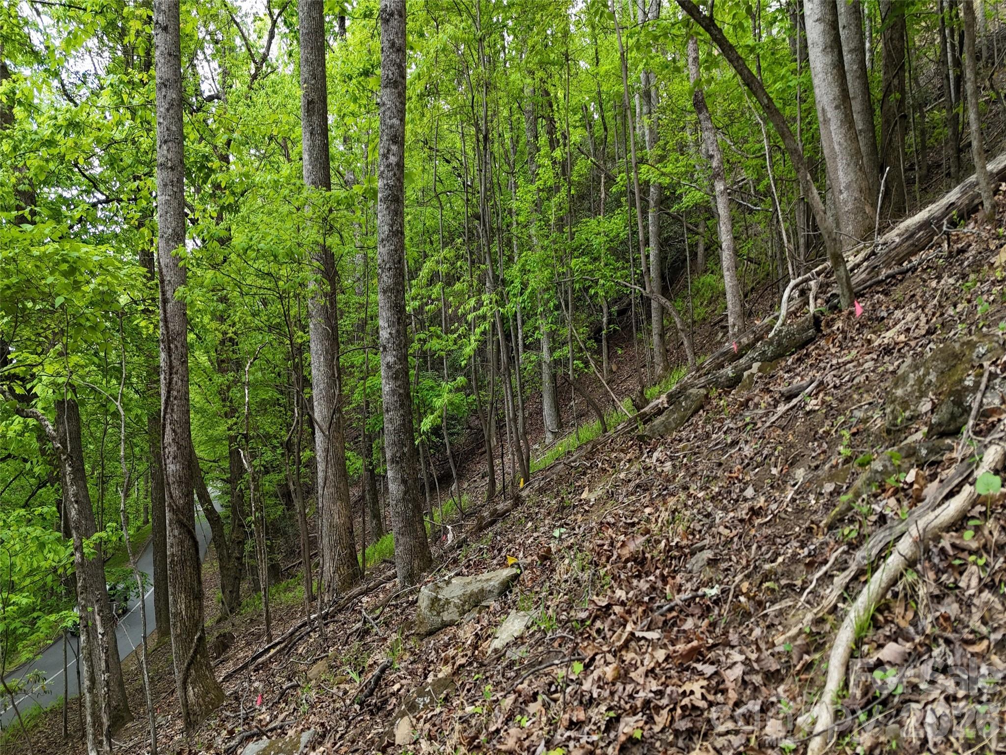 Lot #117 Honey Locust Drive Lot #117 Property Photo 9
