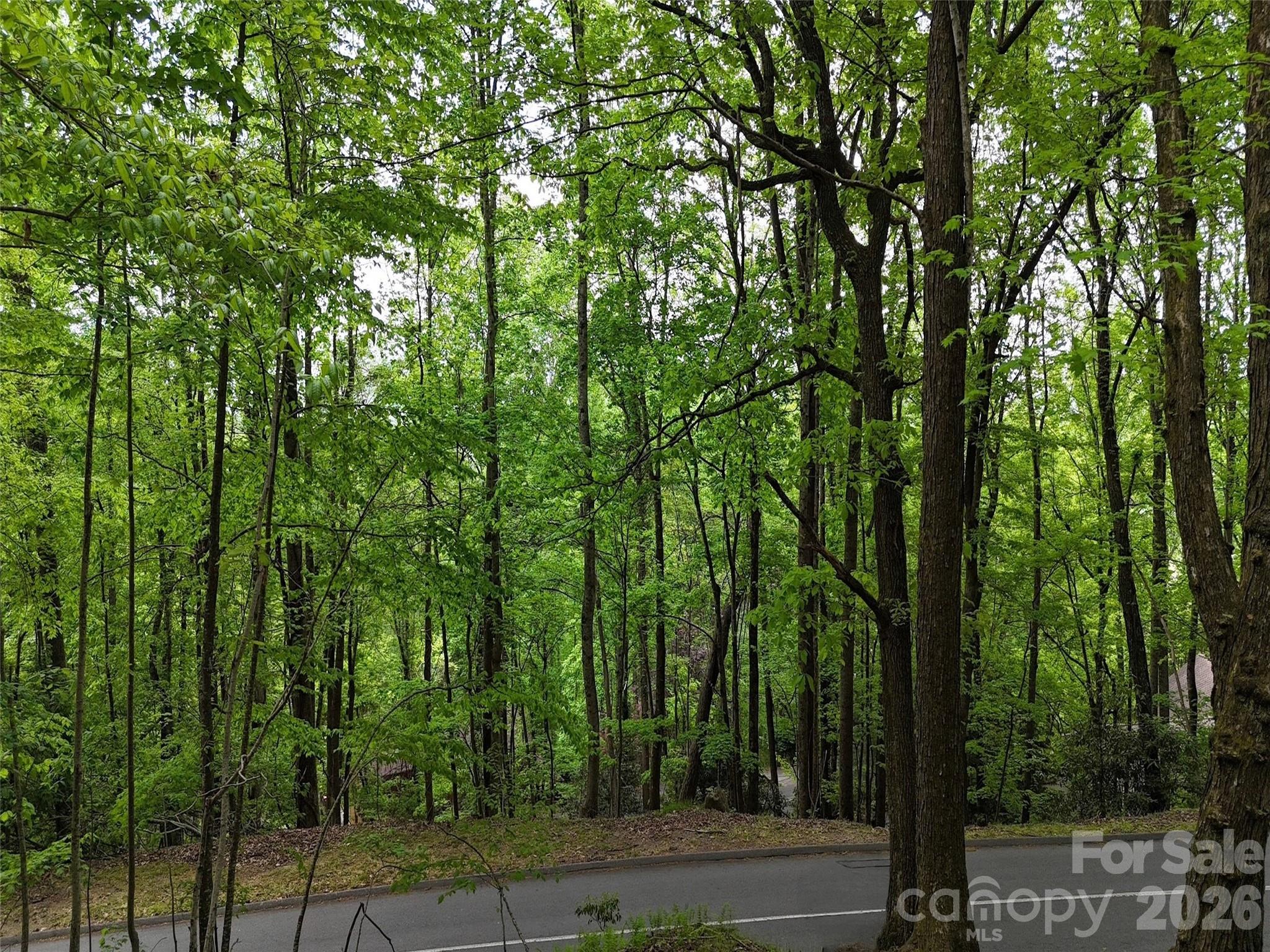 Lot #117 Honey Locust Drive Lot #117 Property Photo 10