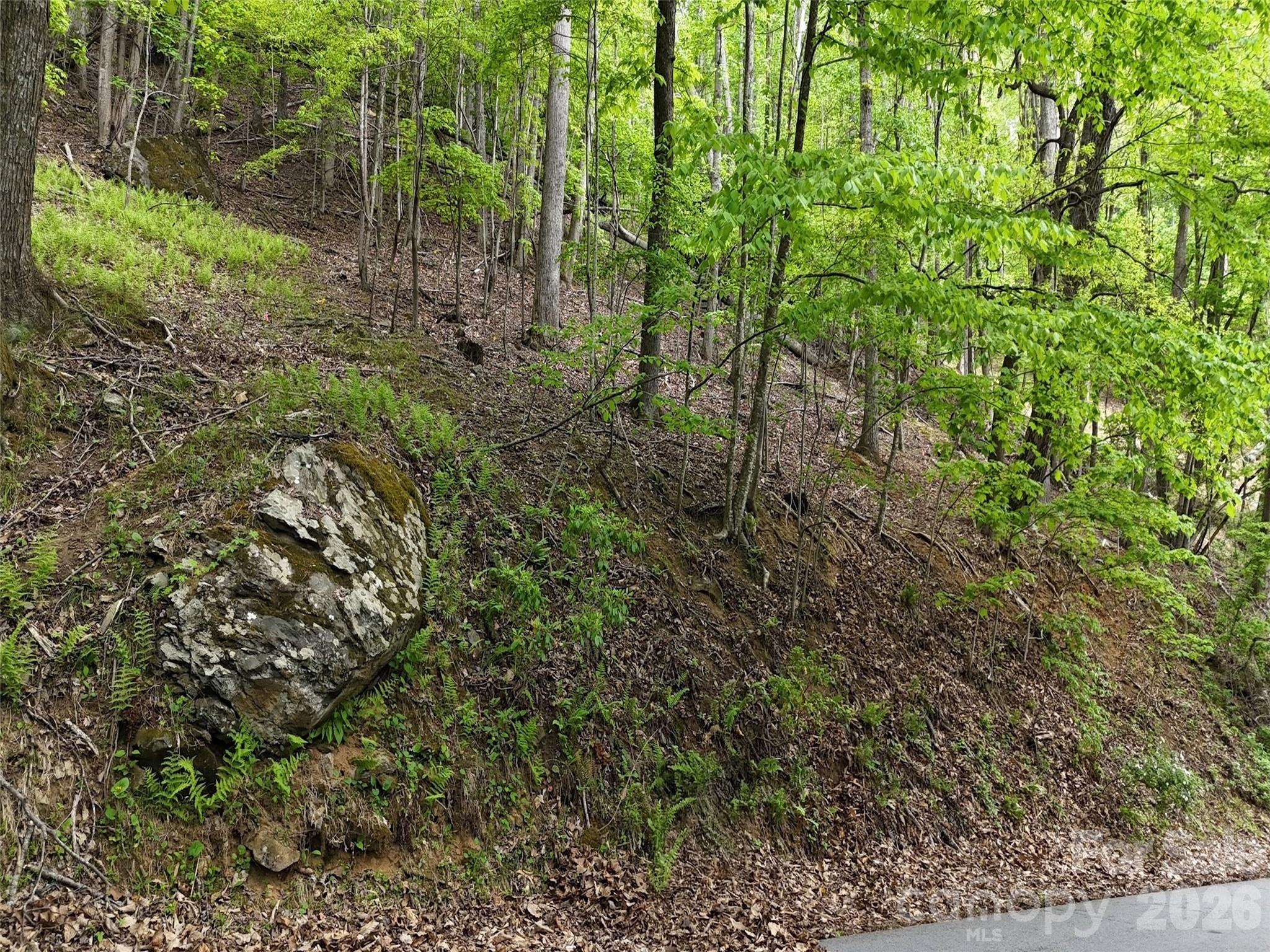 Lot #117 Honey Locust Drive Lot #117 Property Photo 11