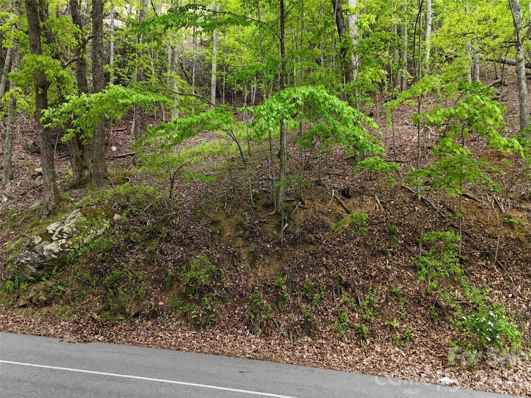 Lot #117 Honey Locust Drive Lot #117 Property Photo 12