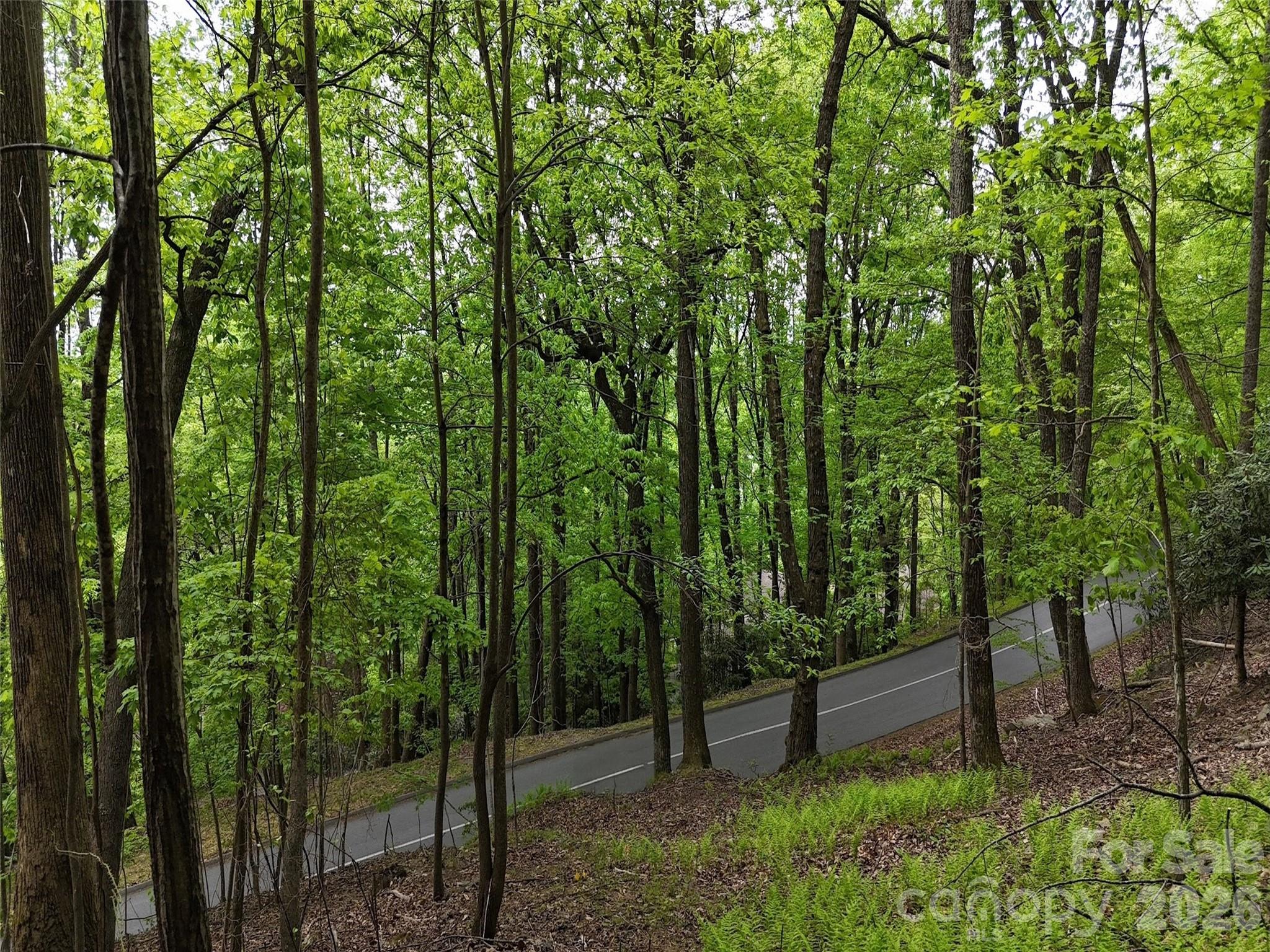Lot #117 Honey Locust Drive Lot #117 Property Photo 14