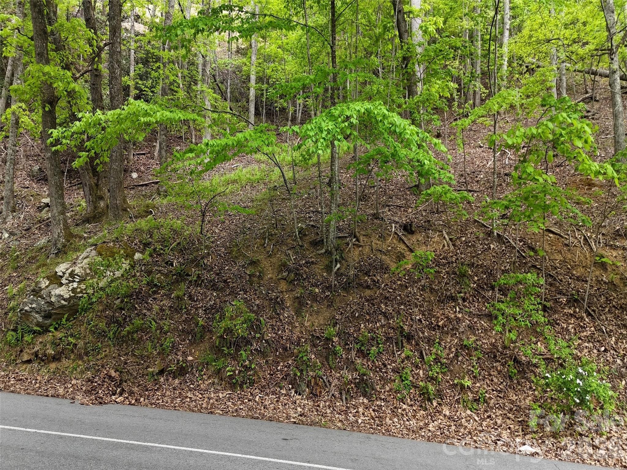 Lot #117 Honey Locust Drive Lot #117 Property Photo 15